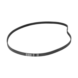 Correia para Bicicleta Ergométrica Spinning Elite Gallant (470J) Correia para Bicicleta Ergométrica Spinning Elite Gallant (470J)