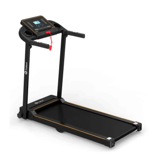 Esteira Ergométrica Elétrica Gallant Trainer 1.9hp 10km/h 100kg 127V (GEE10M19A-127PT)