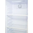 Visa Cooler Gallant 278l 1 Porta Vd Duplo Simples Compressor 220v Mono (GVS27R01A-BR220)